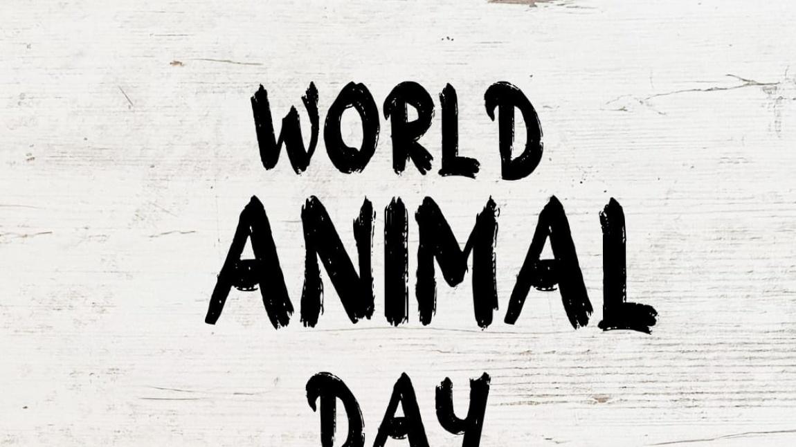 4 Ekim Dünya Hayvanlar Günü İngilizce Etkinliğimiz